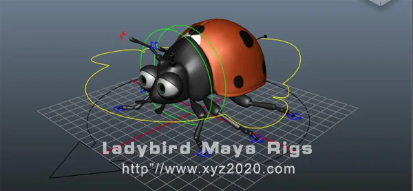 图片[1]-ladybird七星瓢虫-斑狗动画社区